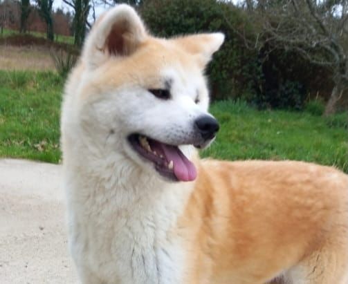 Rikina (Sans Affixe)